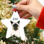 Personalised Cat Breed Christmas Tree Decoration, thumbnail 5 of 8