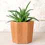 Star Terracotta Plant Pot, thumbnail 1 of 6