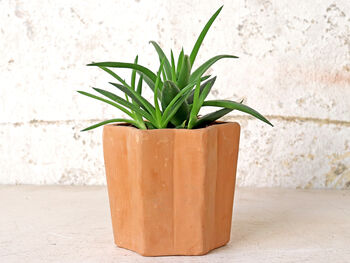 Star Terracotta Plant Pot, 2 of 7