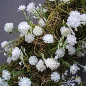Spring Summer Wedding Gypsophila Wreath For Home, 2 of 2