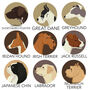 Personalised Fine Art Dog Print 50 Breeds Available, thumbnail 7 of 9