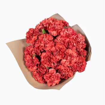 Red Carnations Fresh Flower Bouquet, 2 of 3