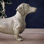 Large Gold Dachshund Ornament, thumbnail 2 of 4