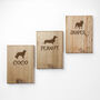 Personalised Dog Lead Peg Hook, thumbnail 2 of 6