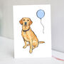 Fox Red Labrador Birthday/Greetings Card, thumbnail 1 of 9