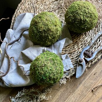 Dried Moss Spheres || Balls, 9 of 9