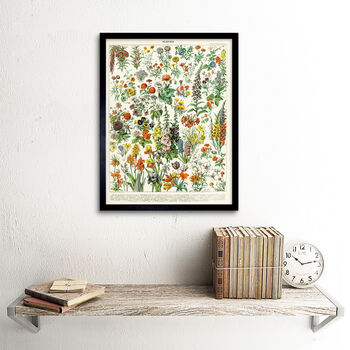 Millot Encyclopedia Page Flowers Plants Wall Art Print, 2 of 3