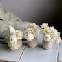 Petite Spring Flower Bud Vase Gift Box, thumbnail 10 of 12