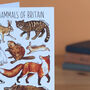 Woodland Animals Of Britain Art Blank Greeting Card, thumbnail 2 of 7
