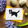 Collin The Collie Illustrated Blank Greeting Card, thumbnail 1 of 10