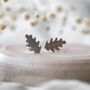 Sterling Silver Small Oak Leaf Studs, thumbnail 2 of 4