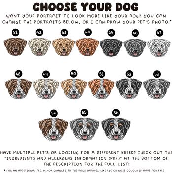 Personalised American Pitbull Dog Portrait Stickers, 2 of 10