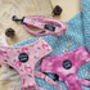 Sunday Rose Floral Dog Harness, thumbnail 6 of 7