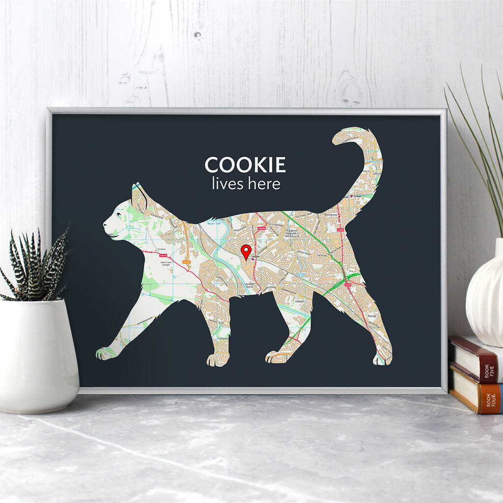 books cats papers maps