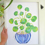 Houseplant Pilea Pepero Print, thumbnail 1 of 8