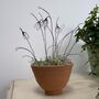 Wire Snowdrops In Handmade Egg Cup Shape Terracotta Pot, thumbnail 3 of 7