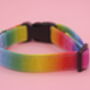 Rainbow Ombré Dog Collar And Lead Accessory Set, thumbnail 8 of 12