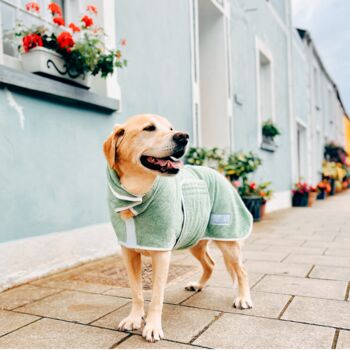 Luxury Dog Drying Coat, 2 of 12