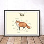 Anatomy Of A Fox Art Print By Sophie Corrigan, thumbnail 1 of 4