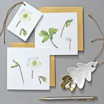 Christmas Gift Tags With Christmas Rose Illustrations, 4 of 4