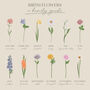 Personalised Birth Flower Illustration Framed Print, thumbnail 5 of 5