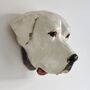 Wall Mounted Pet Head Sculpture, thumbnail 2 of 9