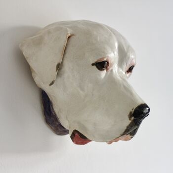 Wall Mounted Pet Head Sculpture, 2 of 9