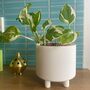 Lightweight Short Leg Plant Pot In Three Standard Sizes, thumbnail 1 of 6