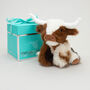 Mini Texas Longhorn Highland Cow Soft Toy, Pop Up Gift Box, thumbnail 1 of 11