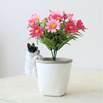 Cement Daisy Planter And Pothanger Gift, 3 of 8