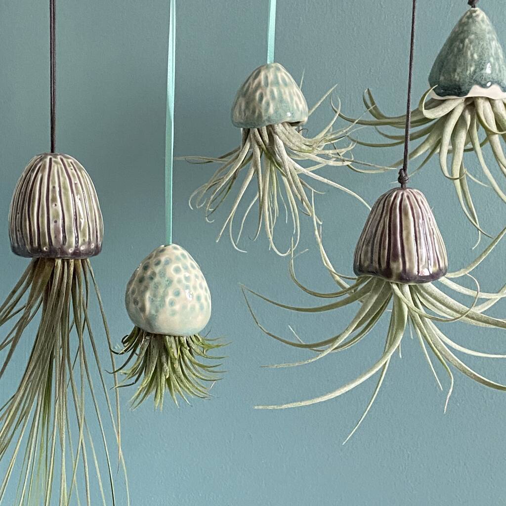 Hanging Handmade Small Porcelain Air Plant Holder By
