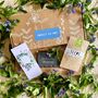 'Forget Me Not' Grow Your Own Remembrance Garden Gift, thumbnail 1 of 3
