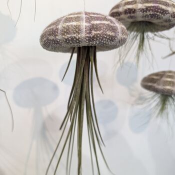 Jellyfish Floating Airplant Gift For Plant Lover, 6 of 8