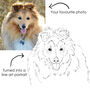 Personalised Hand Drawn Pet Portrait Memorial Keepsake Decoration, thumbnail 2 of 7