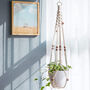 Pack Of Three Macrame Plant Hangers Indoor Planters, thumbnail 4 of 4