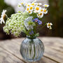 Grow Your Own Wildflower Bouquet And Vase Gift Set, thumbnail 8 of 12