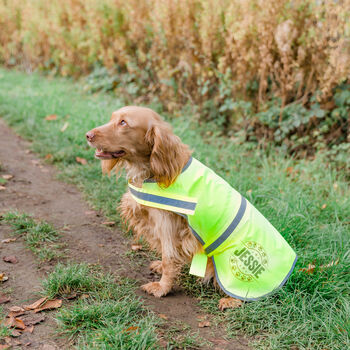 Personalised Reflective Dog Safety Coat / Vest / Jacket, 3 of 12