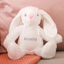 Personalised Rabbit Teddy Bear Soft Toy For Children, thumbnail 5 of 10