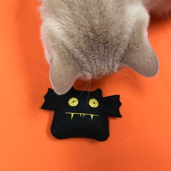 Catnip Bat Cat Toys, 6 of 6