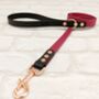 Waterproof Dog Collar And Lead Set Burgundy/Black, thumbnail 3 of 3