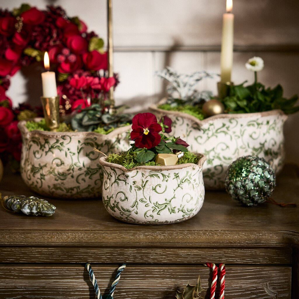 Set Of Three Irina Green Botanical Planters, 1 of 6