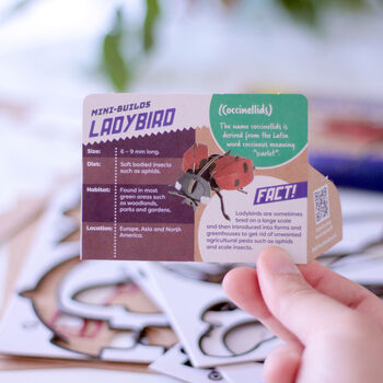 Build Your Own Ladybird, 8 of 12