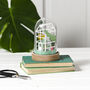 Paper Greenhouse Diy Craft Kit, thumbnail 4 of 5