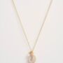 Sea Snail Shell And Pearl Short Necklace, thumbnail 3 of 6
