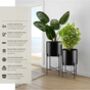 Plant Stand Pot Indoor Outdoor Metal Stands Set Of Two, thumbnail 3 of 12