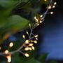 Silver Outdoor Cluster Wire Fairy Lights, thumbnail 1 of 3