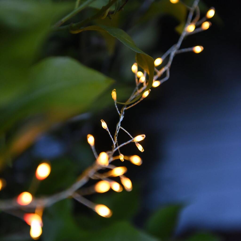 Silver Outdoor Cluster Wire Fairy Lights, 1 of 3