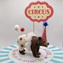 Personalised Circus Grizzly Bear Cake Topper, thumbnail 1 of 6