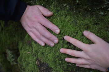 Forest Bathing In Liverpool: Your Journey Into Nature, 6 of 8