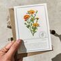 Botanical Wildflowers Postcards Gift Set, thumbnail 2 of 10